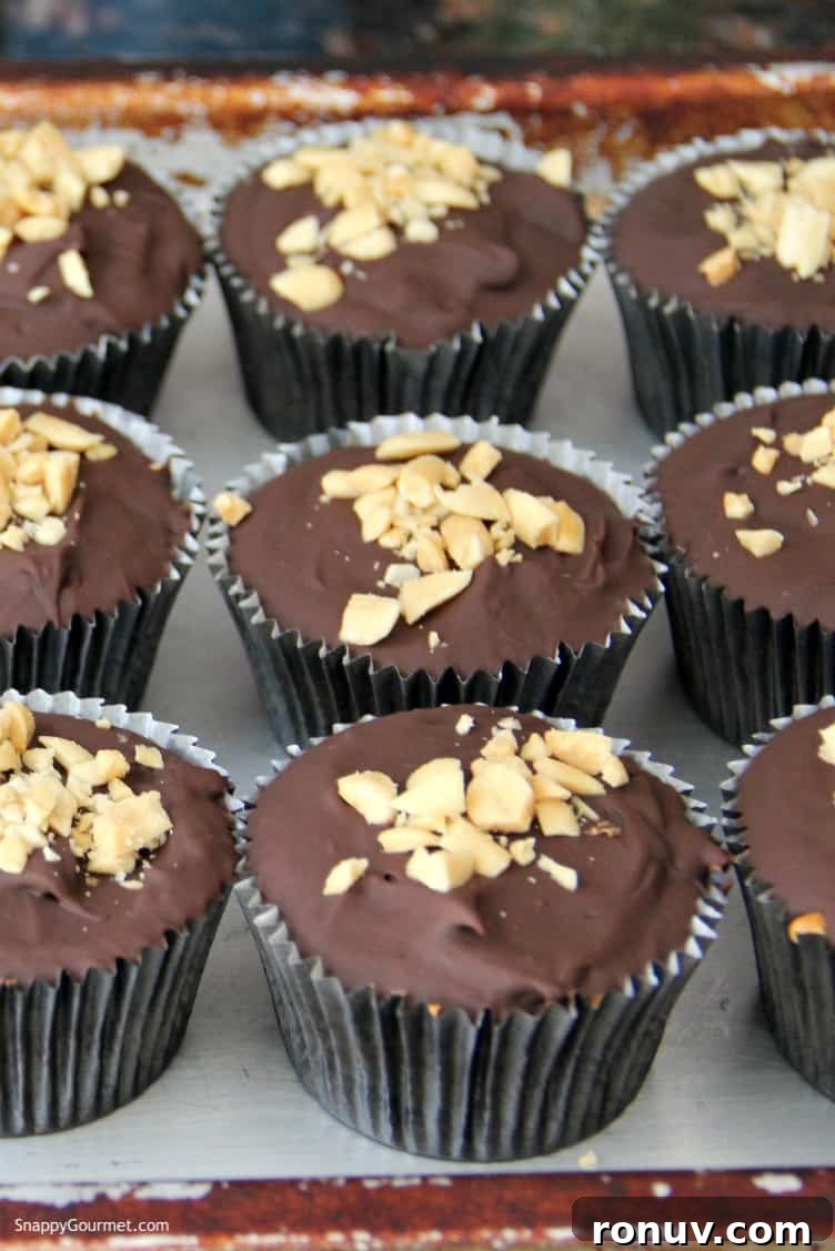 Mini Buckeye Cheesecake Bites Recipe 5 buckeye cheesecakes on pan