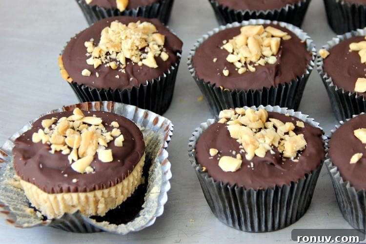 Mini Buckeye Cheesecake Bites Recipe 6 buckeye cheesecakes after baked