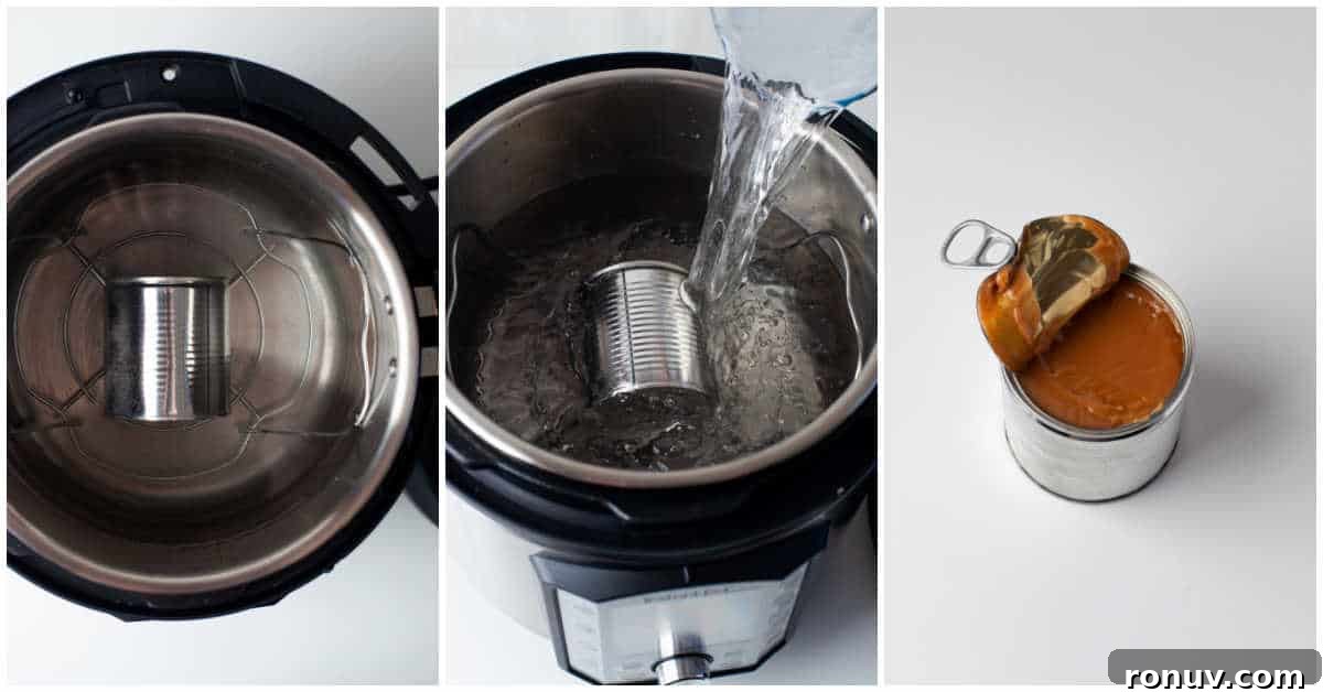 Instant Pot Dulce de Leche Recipe: Creamy Caramel 4 Steps to make Instant Pot Dulce de Leche.