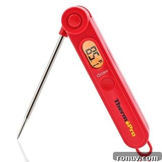meat thermometer