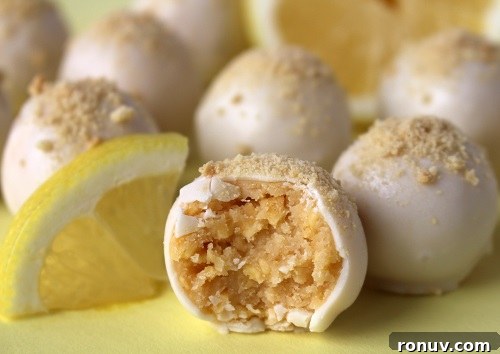 No-Bake Girl Scout Lemonades Cookie Truffles 10 img 1770 9