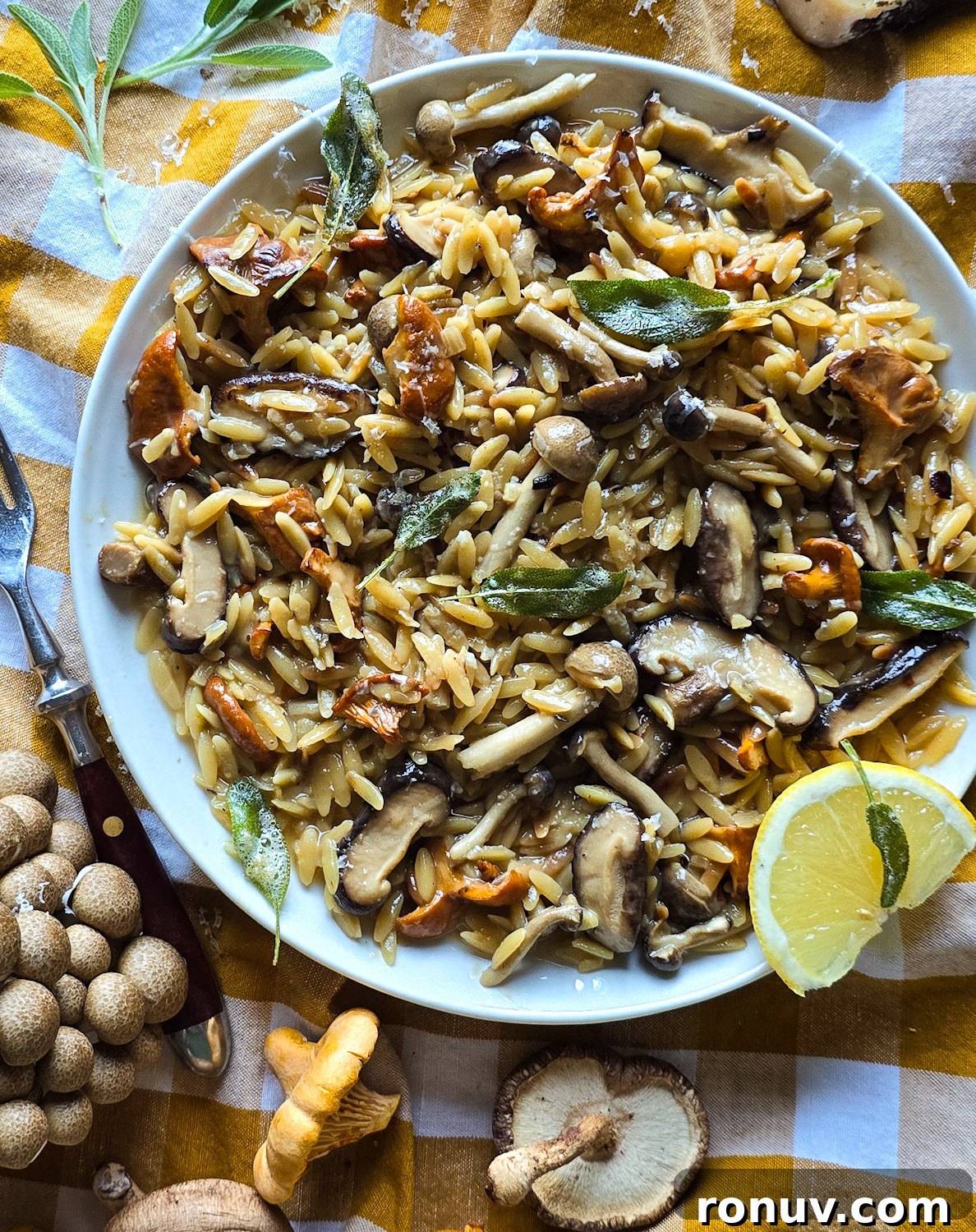 Brown Butter Mushroom Orzo with Crispy Sage 2 img 18021 1