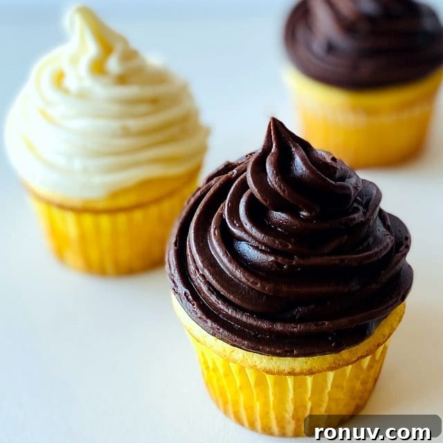 Make Boxed Cake Mix Taste Homemade: Doctored Mix Tricks 2 How to Improve Boxed Cake Mix-chocolate-and-vanilla-cupcakes