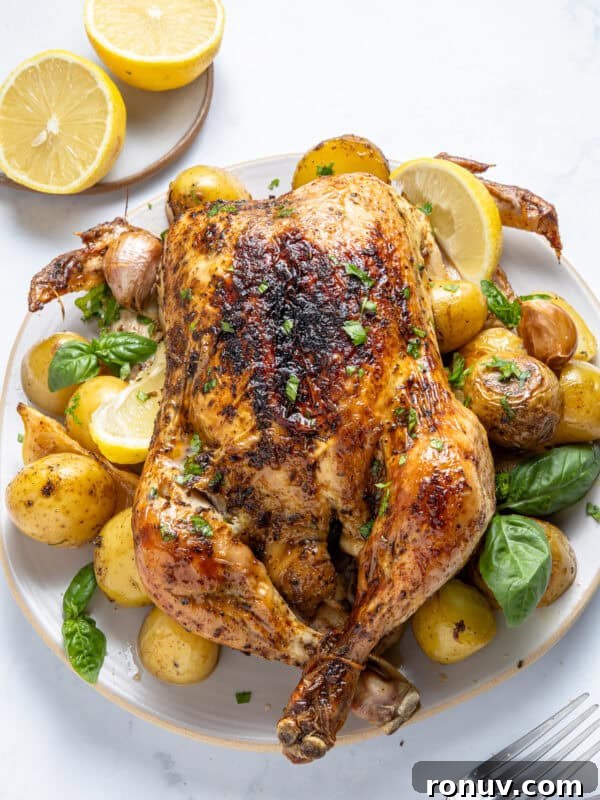 Whole roasted chicken with baby potatoes and herbs on a white plate.