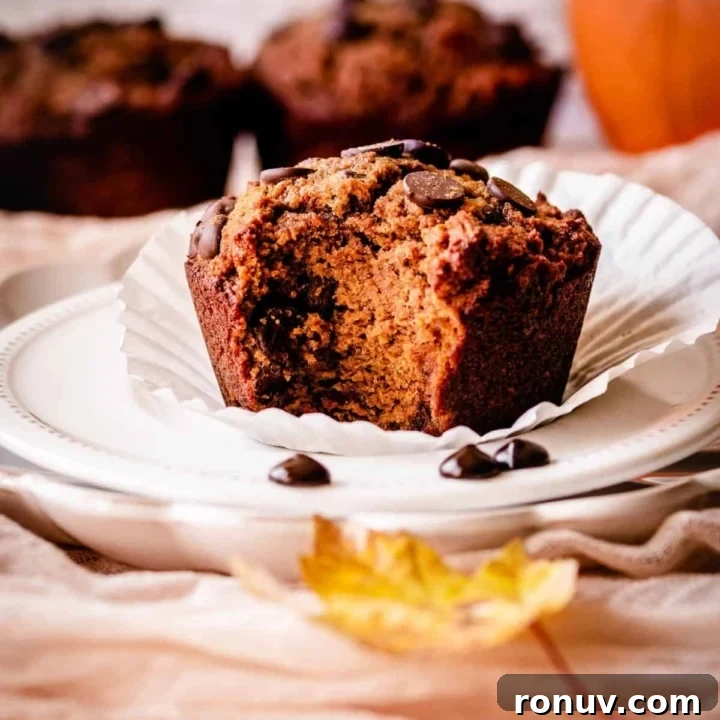 pumpkin muffin on a plate with a bite taken out