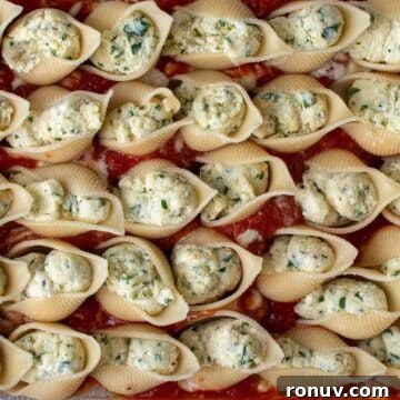 Ricotta-Stuffed Pasta Shells Recipe 12 Filled giant pasta shells arranged in rows on red tomato sauce.