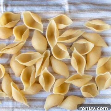 Ricotta-Stuffed Pasta Shells Recipe 4 Cooked shell shaped pasta on a kitchen towel.