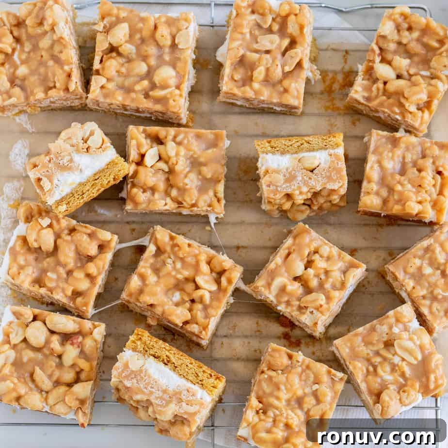 Homemade Salted Peanut Bars Recipe 5 salted peanut bars cut into squares