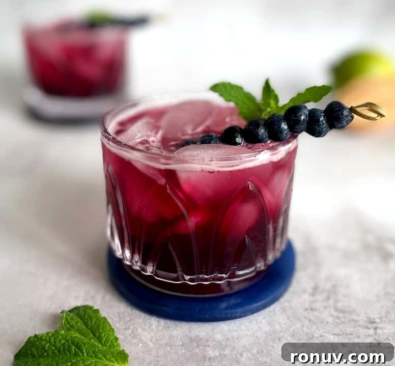 blueberry gin and tonic with blueberry garnish.