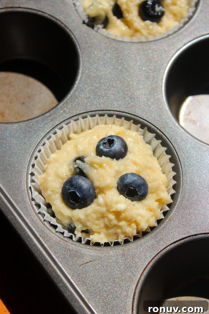 Moist Lemon Blueberry Ricotta Muffins Recipe 11 muffins in tin before baking