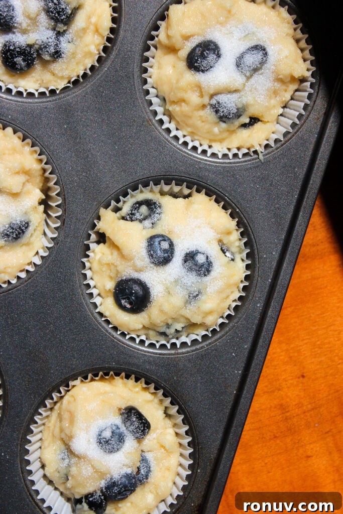 Moist Lemon Blueberry Ricotta Muffins Recipe 12 muffin tops sprinkled with sugar