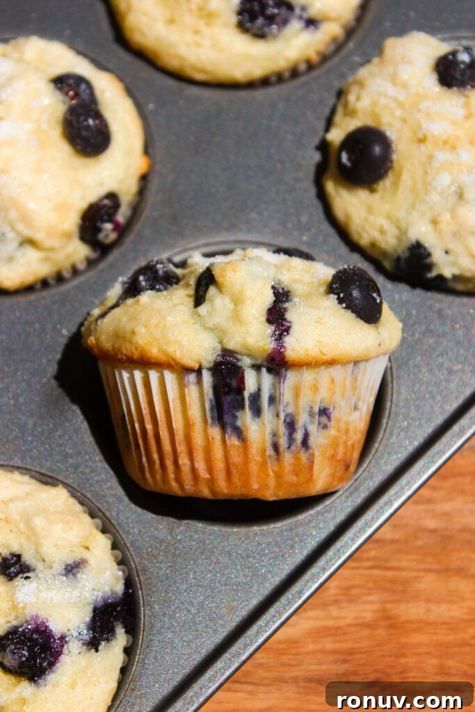 Moist Lemon Blueberry Ricotta Muffins Recipe 13 tray of baked lemon blueberry ricotta muffins