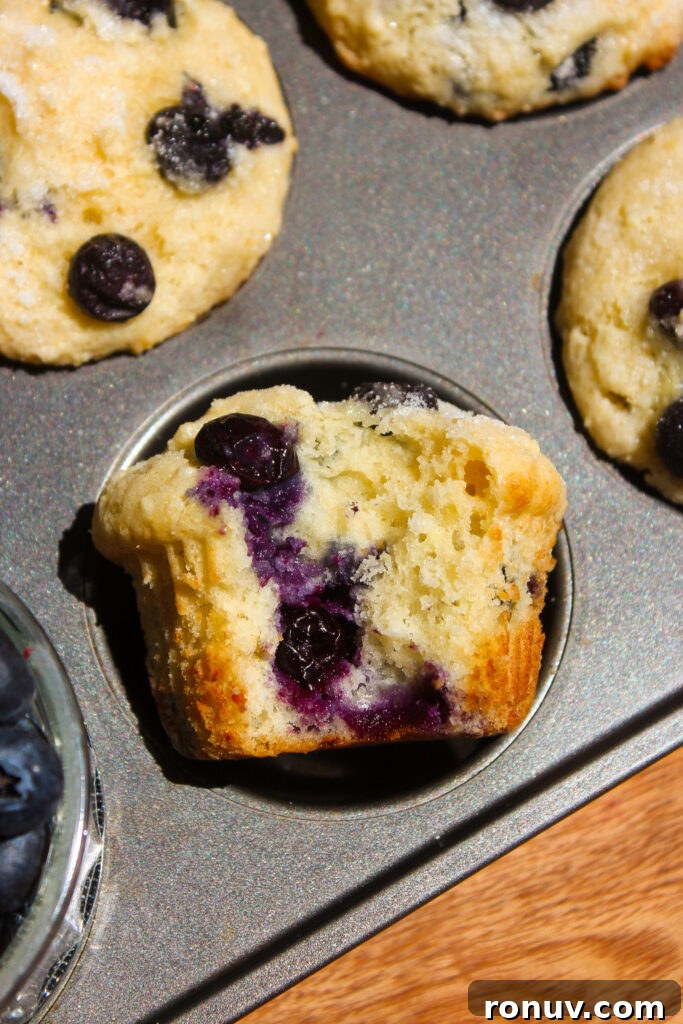 Moist Lemon Blueberry Ricotta Muffins Recipe 14 a single muffin on a plate