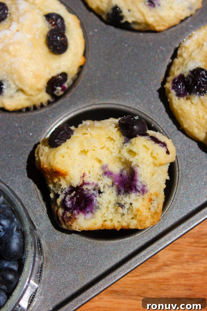 Moist Lemon Blueberry Ricotta Muffins Recipe 3 Close-up of a lemon blueberry muffin