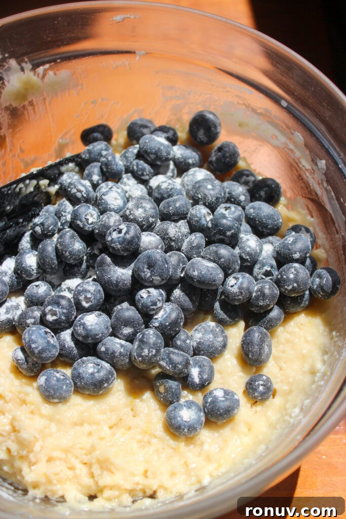 Moist Lemon Blueberry Ricotta Muffins Recipe 9 blueberries in batter