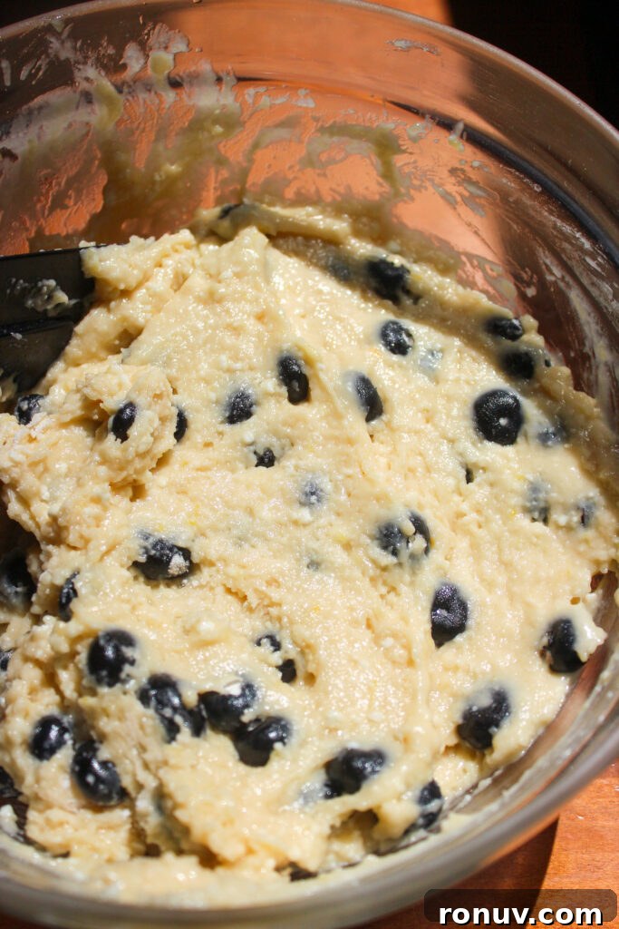 Moist Lemon Blueberry Ricotta Muffins Recipe 10 muffin batter with blueberries