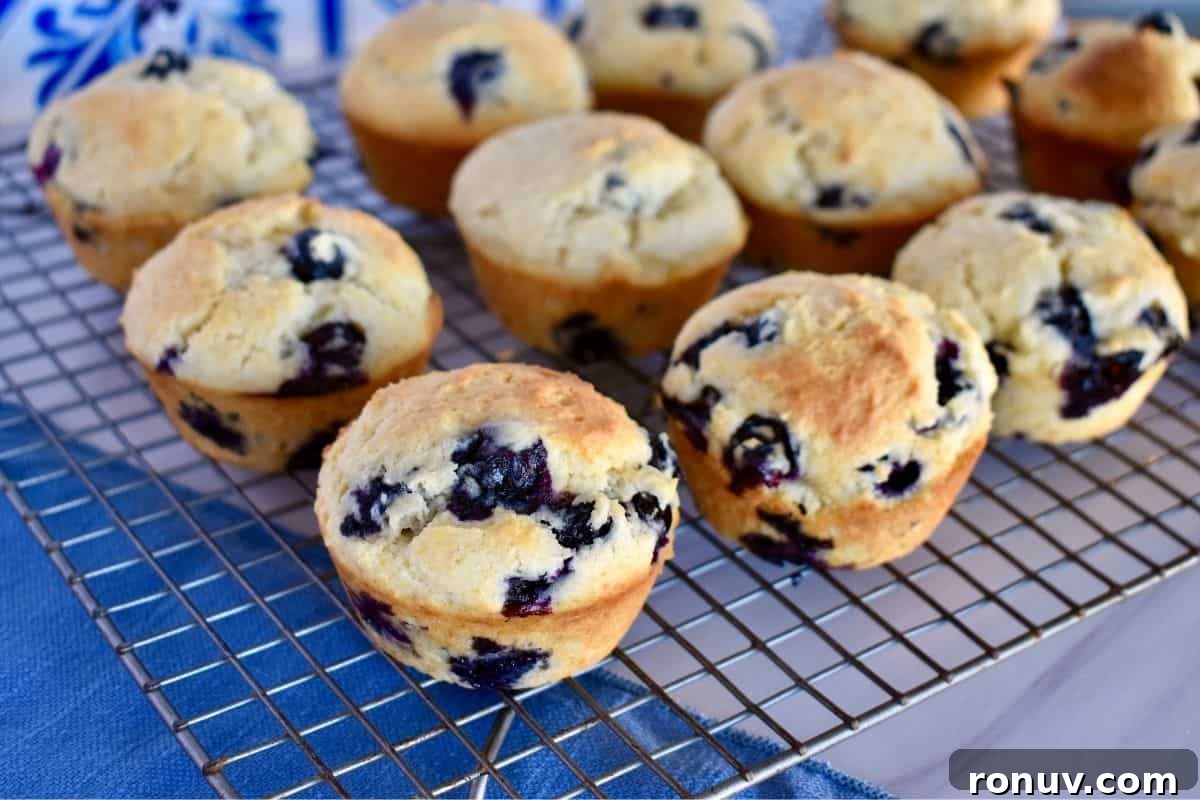 Make-Ahead Baby Shower Recipes and Party Food Ideas 8 Blueberry Ricotta Muffins on a wire cooling rack.