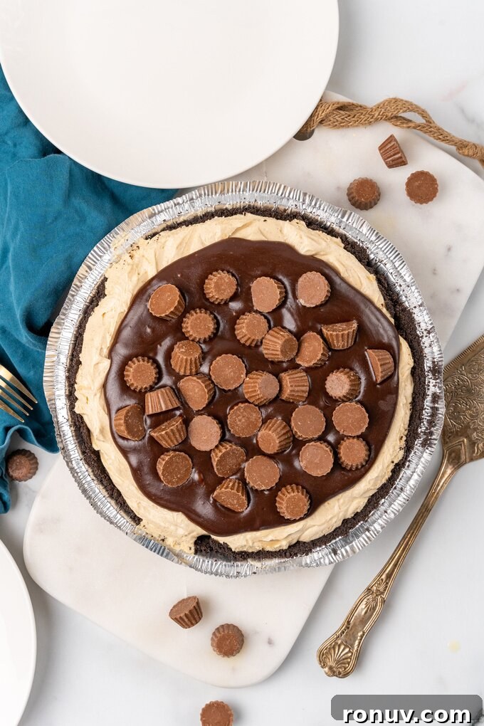 No Bake Chocolate Peanut Butter Pie Recipe 4 Top view of the pie with mini peanut butter cups