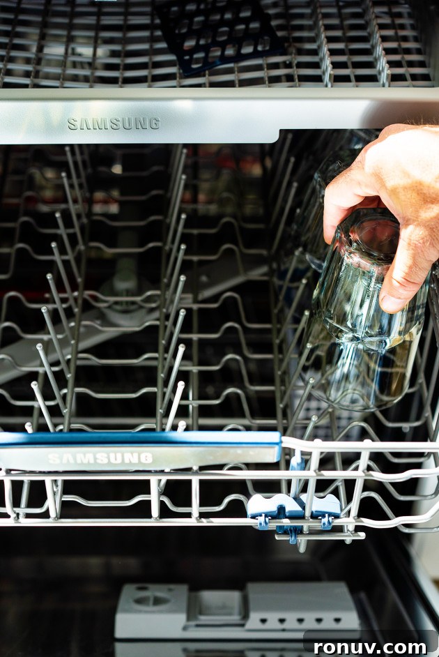 Kitchen Appliance Remodel: Modern Upgrade Ideas 7 DSC00784