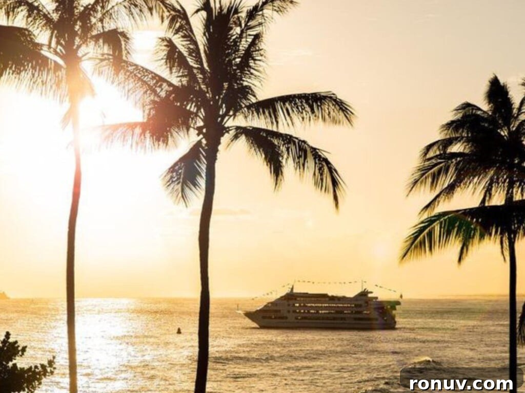 View of Ocean with dinner cruise boat on the ocean and palm trees in the foreground.