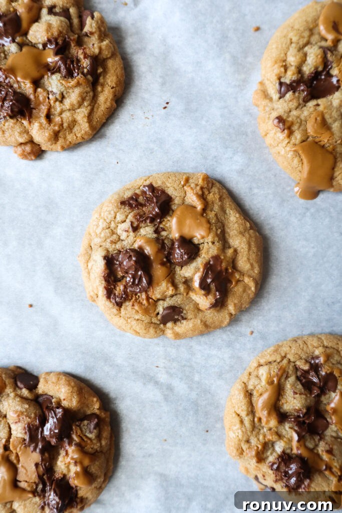 Homemade Biscoff Butter Cookies: Crisp, Buttery Recipe 3 Jar of Lotus Biscoff cookie butter