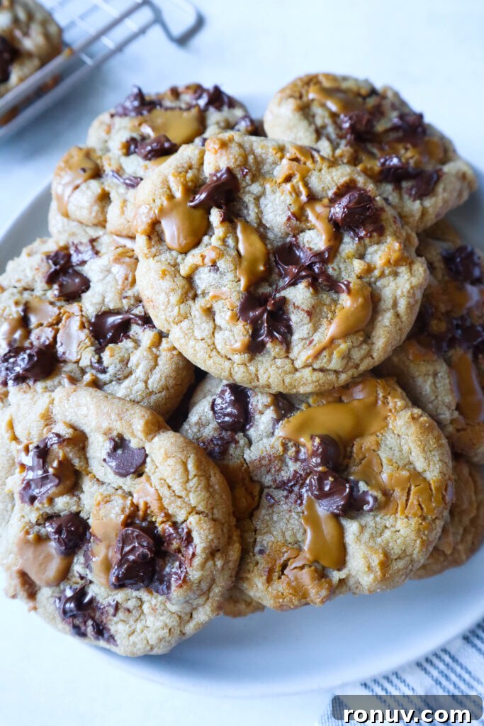 Homemade Biscoff Butter Cookies: Crisp, Buttery Recipe 6 Vegan biscoff cookie alternative