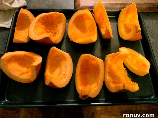 Pumpkin close-up