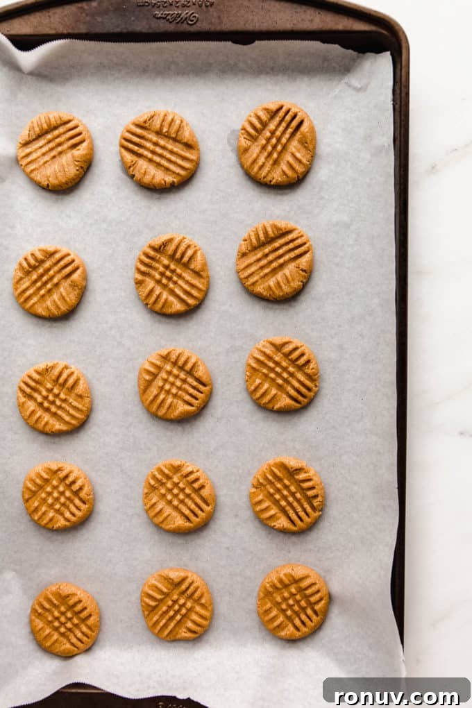 Chewy Vegan Peanut Butter Cookies Recipe 6 unbaked peanut butter cookies on a baking sheet