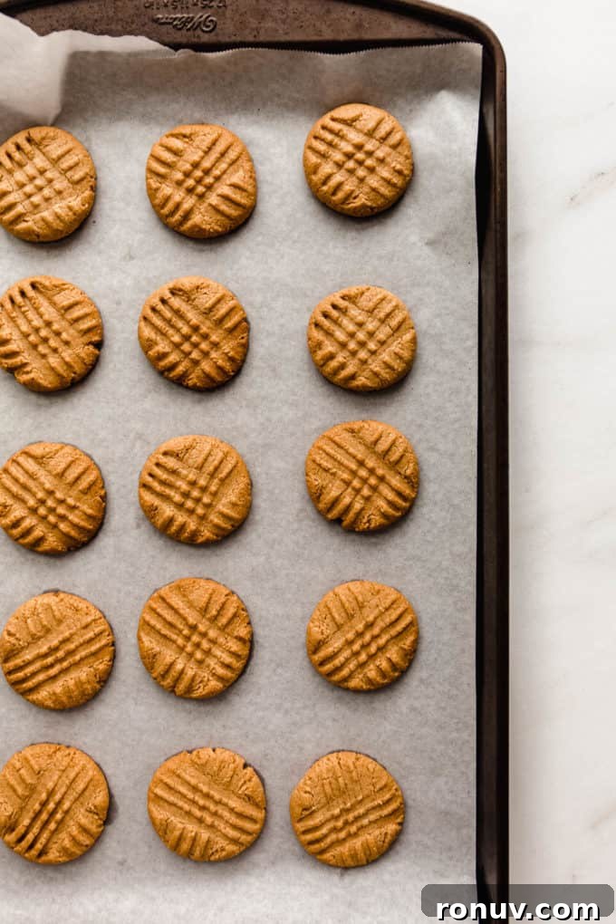 Chewy Vegan Peanut Butter Cookies Recipe 7 peanut butter cookies on a baking sheet