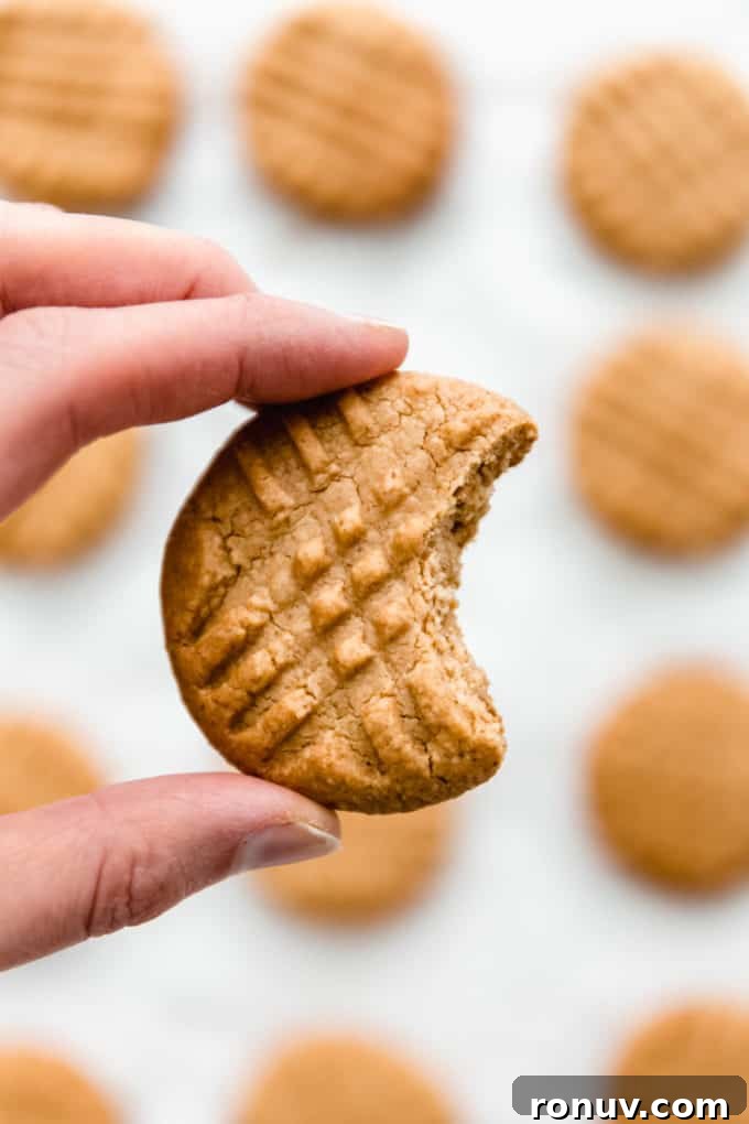 Chewy Vegan Peanut Butter Cookies Recipe 9 a hand holding a peanut butter cookie