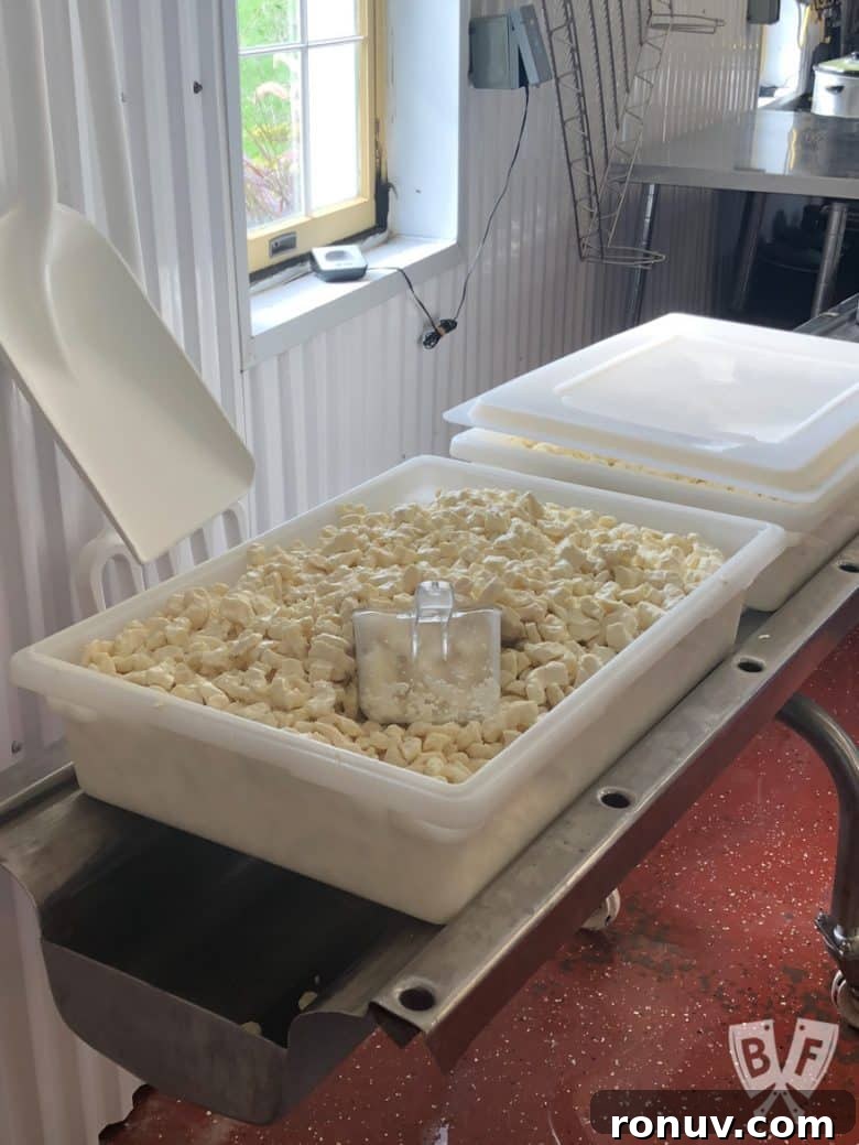 New York Dairy Tour 2018: Why I Moved to a Cheese Cave 8 A vat of freshly made cheese curds on the farm.