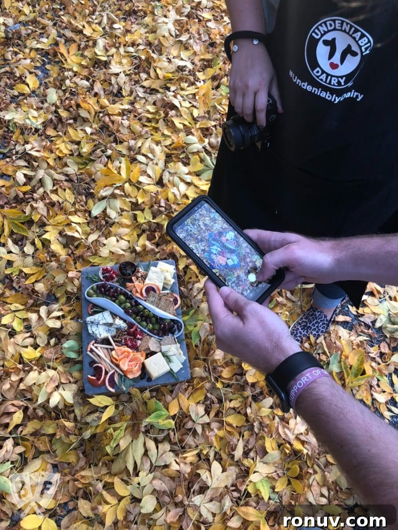 New York Dairy Tour 2018: Why I Moved to a Cheese Cave 13 Cheese board among autumn leaves with a person taking a photo of it.