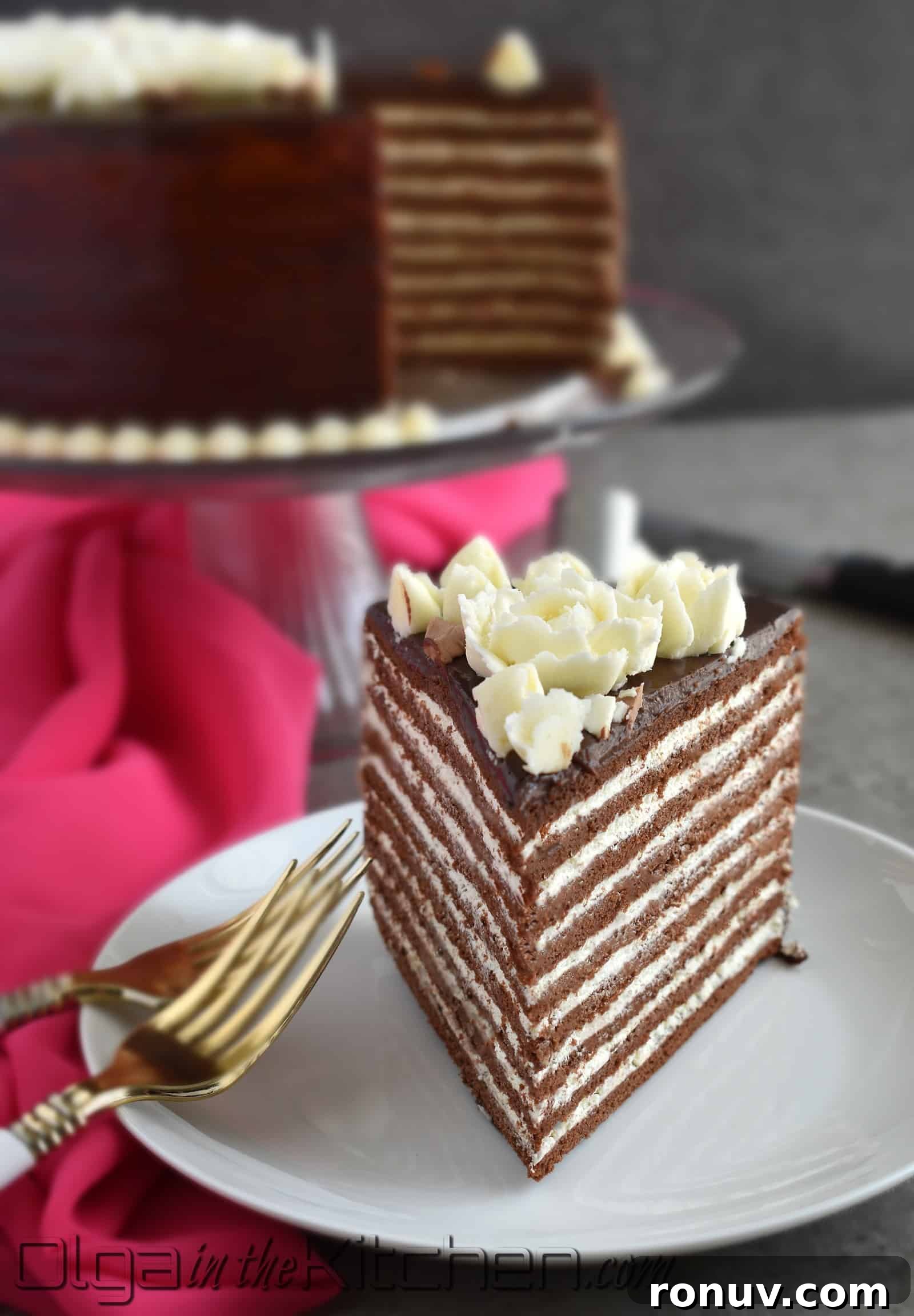 Layered Russian Chocolate Spartak Cake Recipe 10 img 2363 14