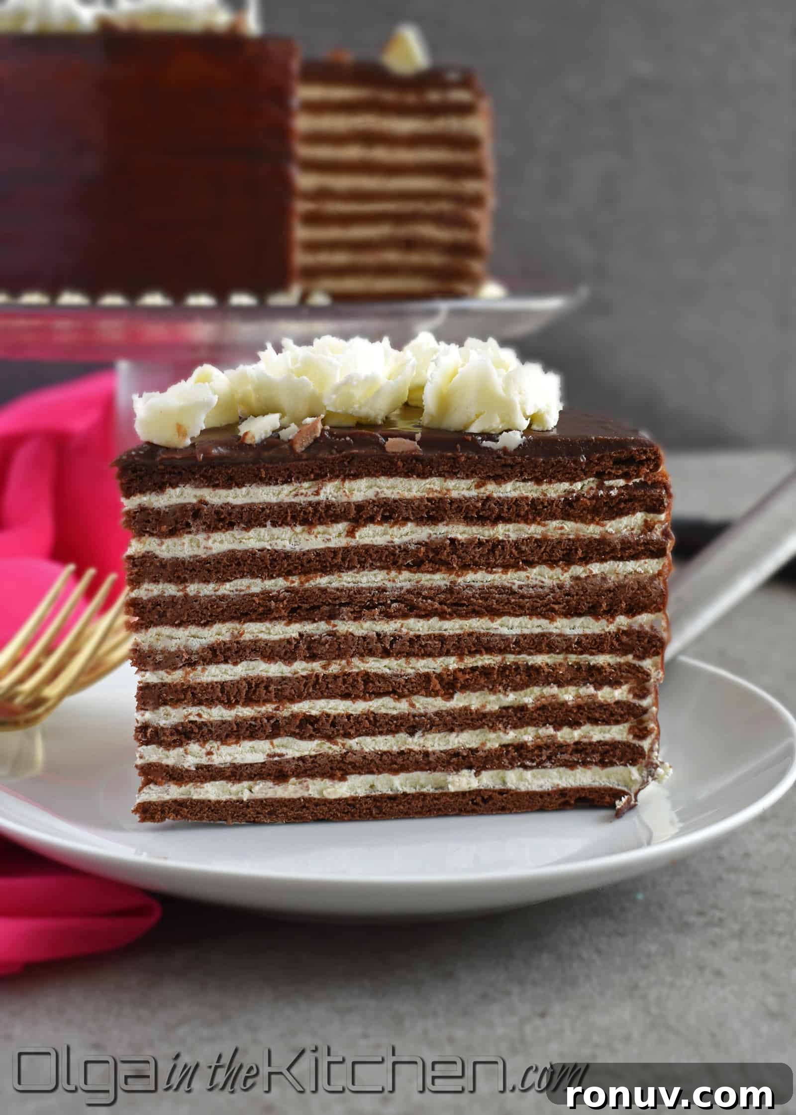 Layered Russian Chocolate Spartak Cake Recipe 3 img 2363 2