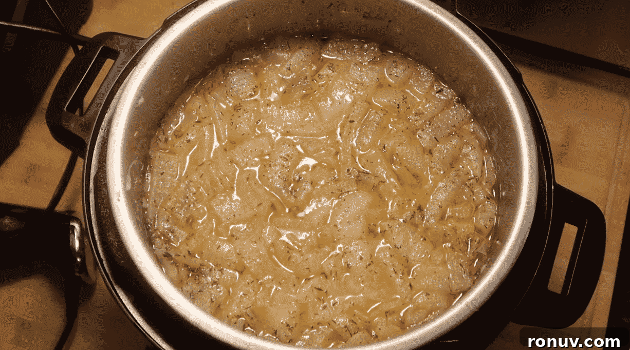 Classic Instant Pot Cream of Onion Soup Recipe 9 img 24494 19