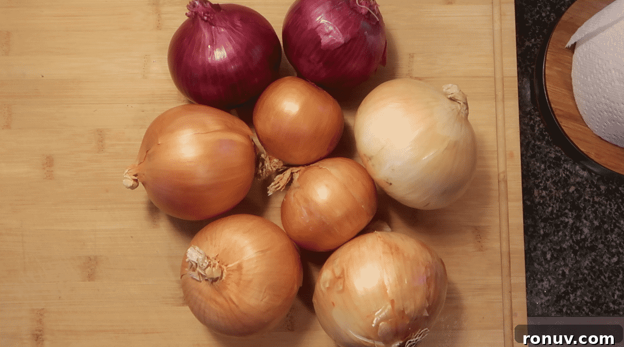 Classic Instant Pot Cream of Onion Soup Recipe 3 img 24494 2