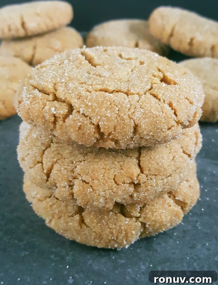 Dairy-Free Peanut Butter Cookies Recipe (No Milk or Butter) 2 Soft & Chewy Peanut Butter Cookies Recipe (Dairy-Free) – Easy recipe, simple ingredients, no chilling required, and ready in less than 20 minutes! | Beat Bake Eat