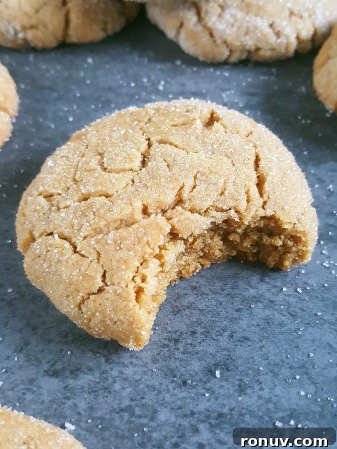 Dairy-Free Peanut Butter Cookies Recipe (No Milk or Butter) 3 Soft & Chewy Peanut Butter Cookies Recipe (Dairy-Free) – Easy recipe, simple ingredients, no chilling required, and ready in less than 20 minutes! | Beat Bake Eat