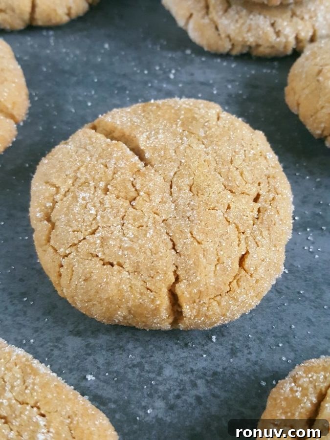 Dairy-Free Peanut Butter Cookies Recipe (No Milk or Butter) 4 Soft & Chewy Peanut Butter Cookies Recipe (Dairy-Free) – Easy recipe, simple ingredients, no chilling required, and ready in less than 20 minutes! | Beat Bake Eat