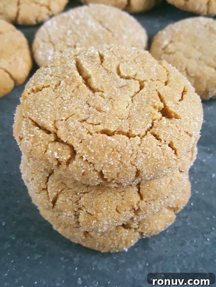 Dairy-Free Peanut Butter Cookies Recipe (No Milk or Butter) 5 Soft & Chewy Peanut Butter Cookies Recipe (Dairy-Free) – Easy recipe, simple ingredients, no chilling required, and ready in less than 20 minutes! | Beat Bake Eat