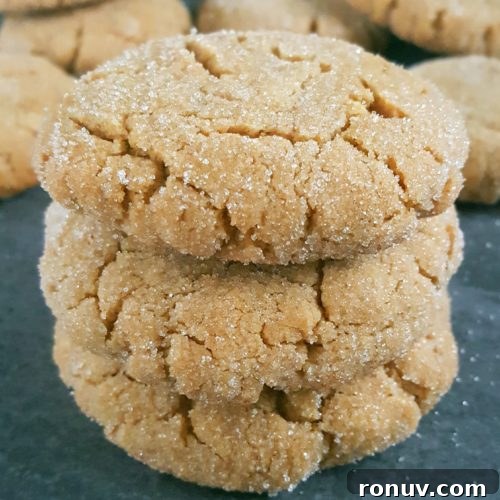 Soft & Chewy Peanut Butter Cookies Recipe (Dairy-Free) – Easy recipe, simple ingredients, no chilling required, and ready in less than 20 minutes!