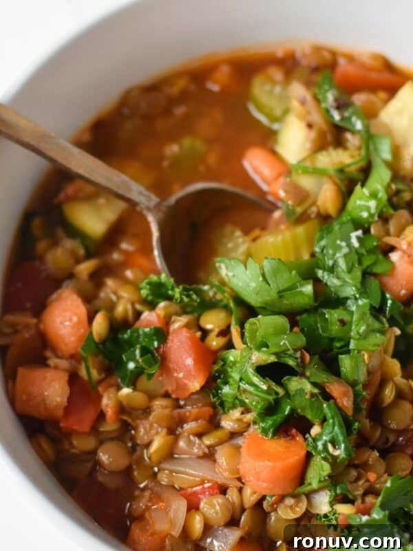 Instant Pot Lentil Soup Recipe: Flavorful Weeknight Meal 10 img 26362 9
