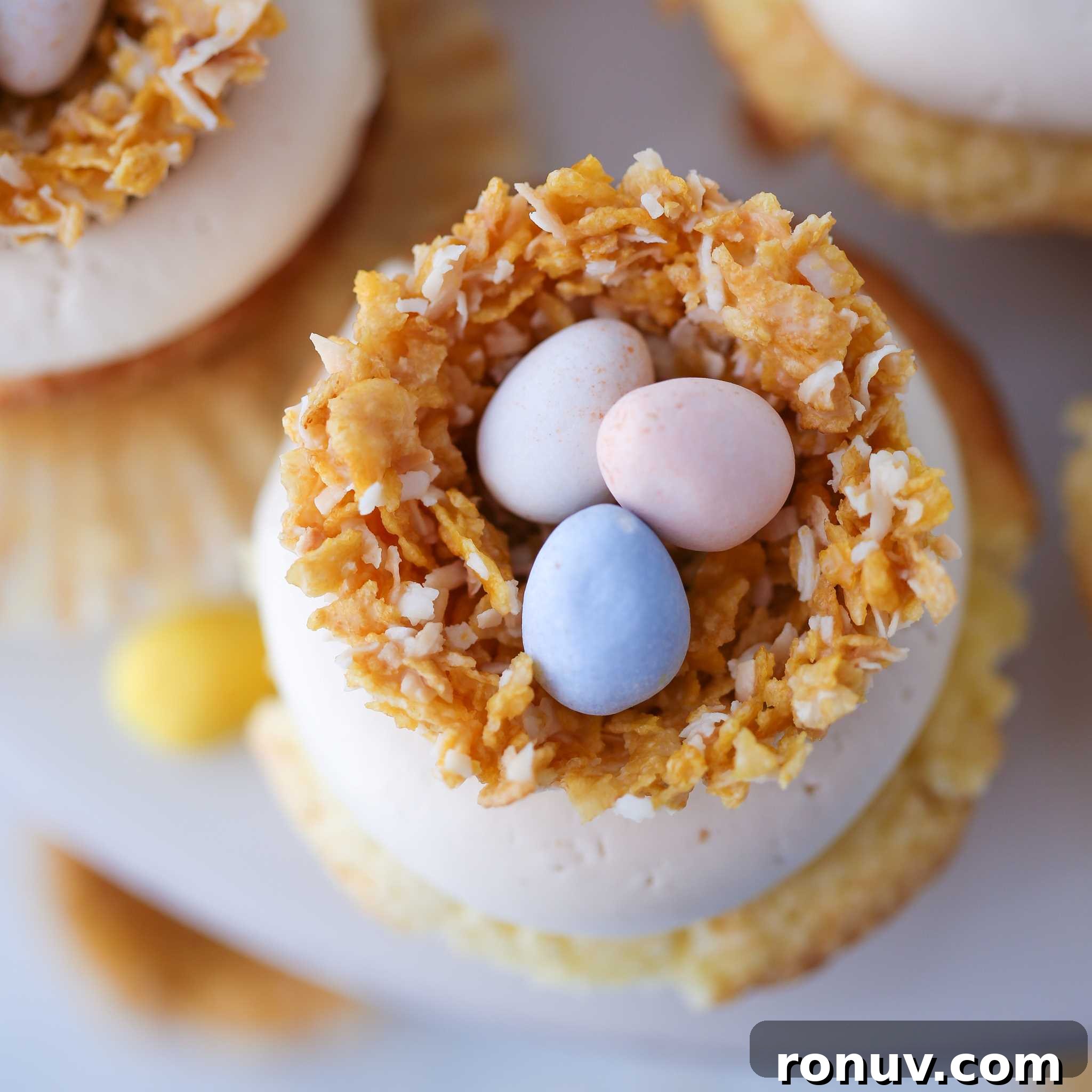 Homemade Coconut and White Chocolate Nests Recipe 2 Coconut White Chocolate Nests Three Eggs