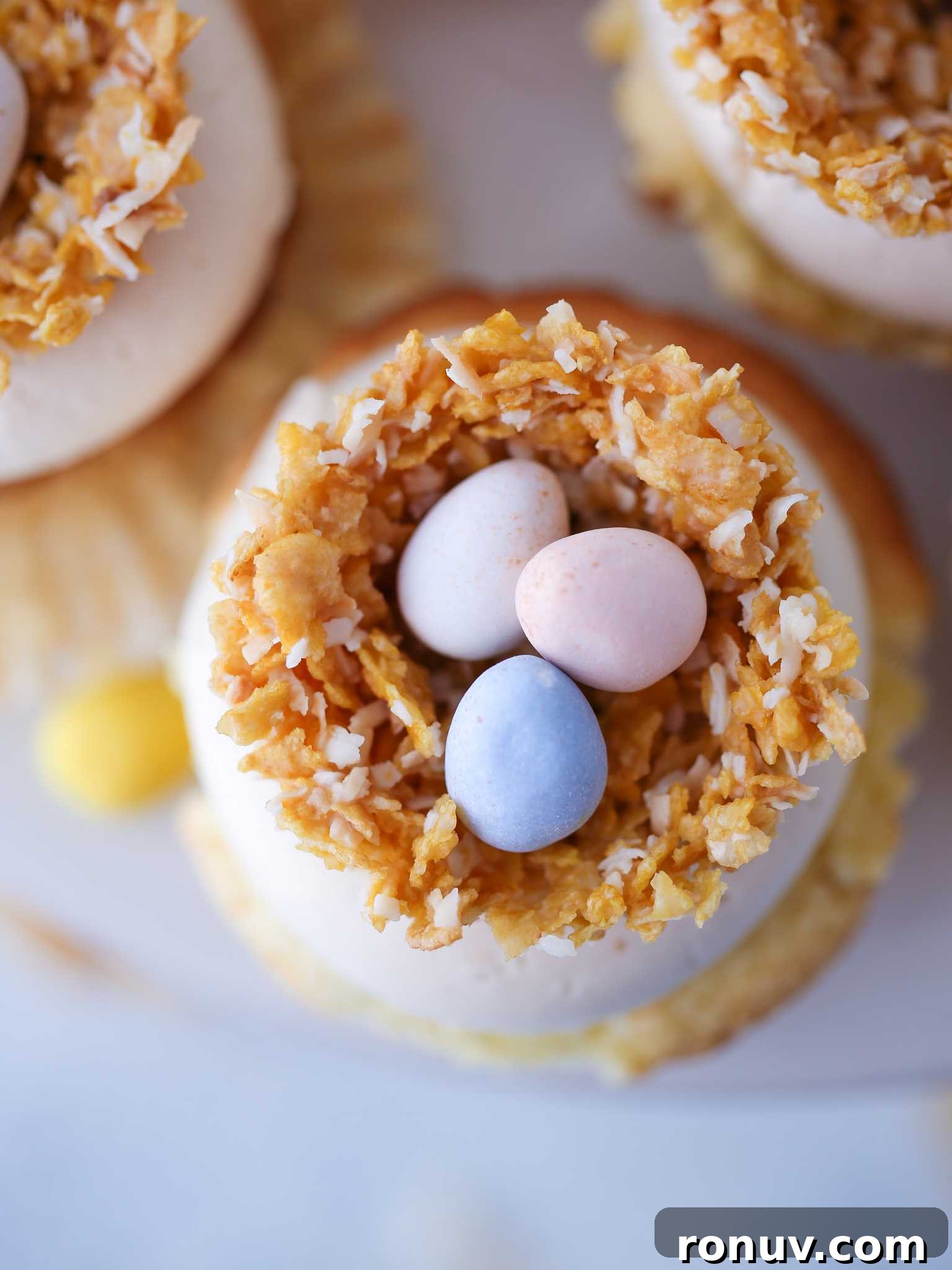 Homemade Coconut and White Chocolate Nests Recipe 5 Coconut White Chocolate Nests White Slate