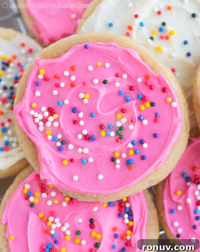 Frosted Vegan Sugar Cookies