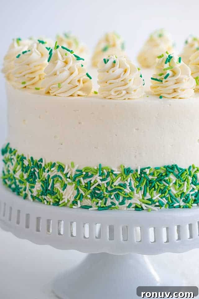 Guinness and Baileys Chocolate Cheesecake Recipe 2 Cheesecake Cake on a white cake plate with green and white sprinkles