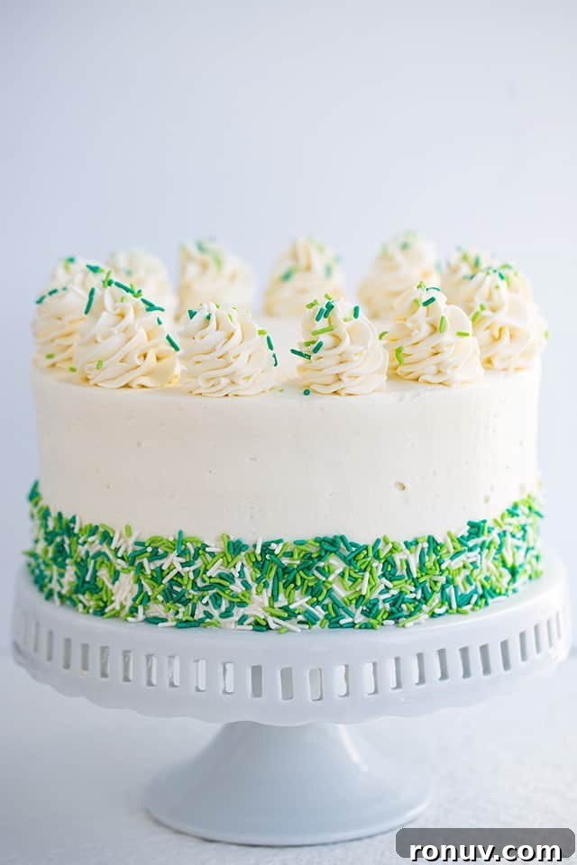 Guinness and Baileys Chocolate Cheesecake Recipe 4 Chocolate Guinness and Baileys Cheesecake Cake on a white cake stand with a white background