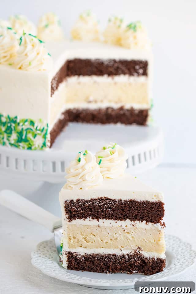 Guinness and Baileys Chocolate Cheesecake Recipe 5 slice of chocolate guinness and baileys cheesecake cake on a white dessert plate with a serving utensil