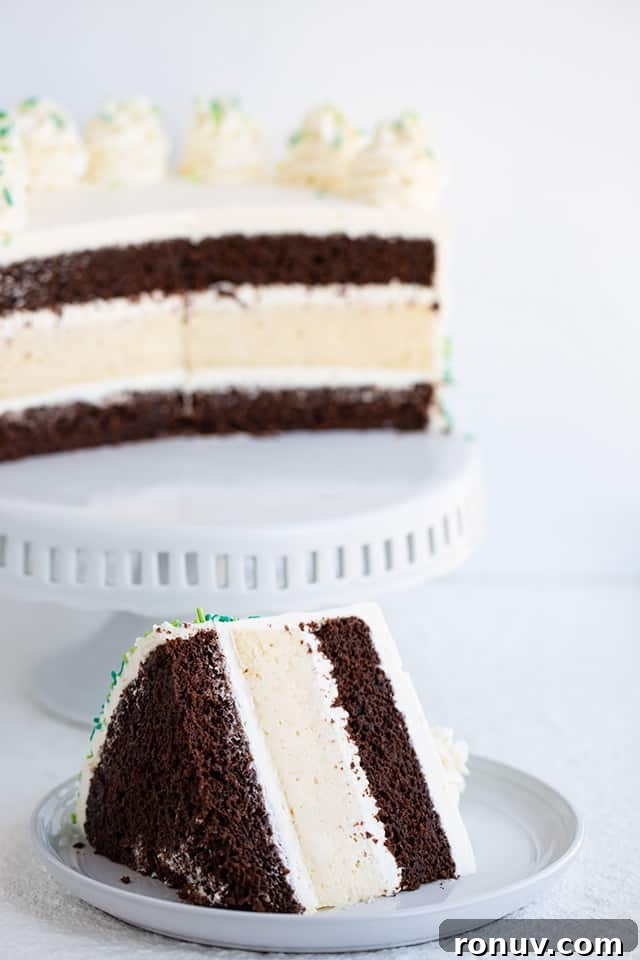 Guinness and Baileys Chocolate Cheesecake Recipe 7 slice of cheesecake cake with the cake on a cake plate in the background
