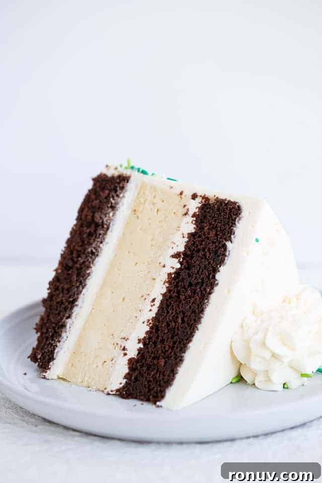 Guinness and Baileys Chocolate Cheesecake Recipe 8 A slice of Guinness and Baileys Cheesecake Cake on a plate.